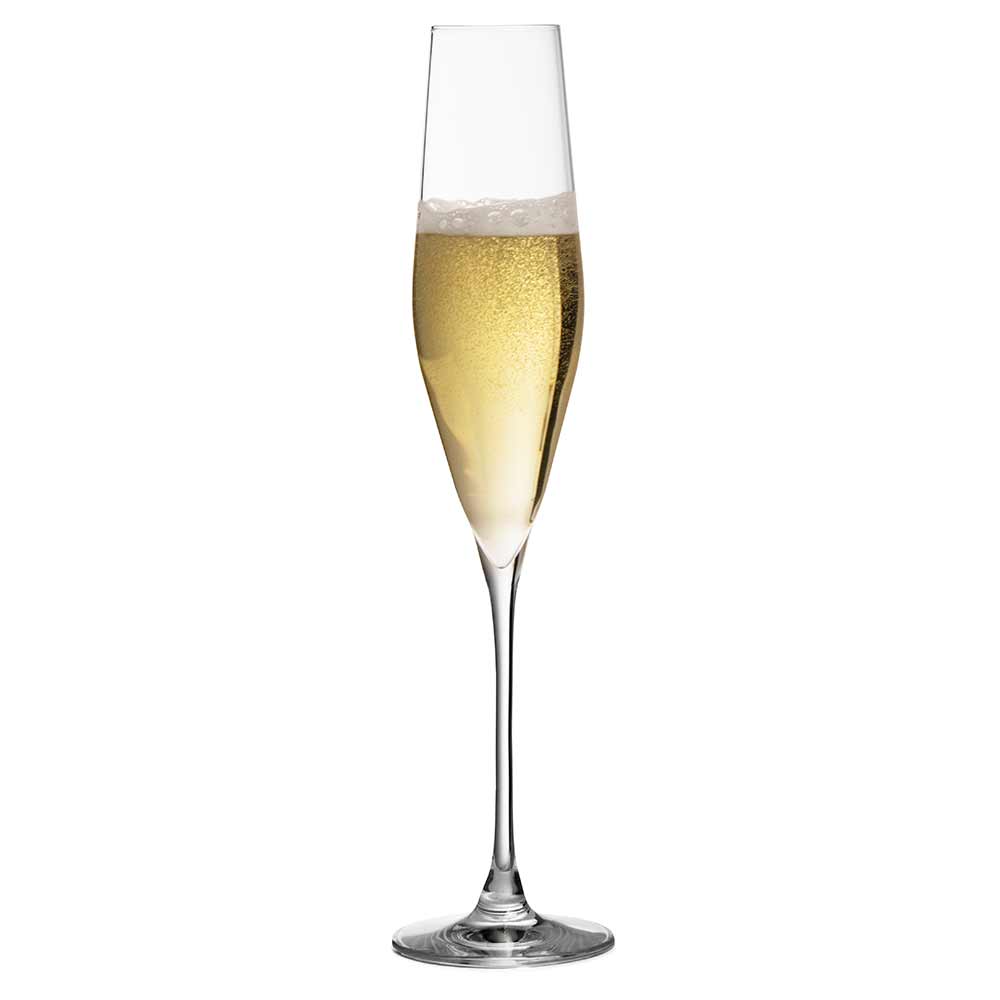 Bacci Flûte à champagne en cristal 19cl